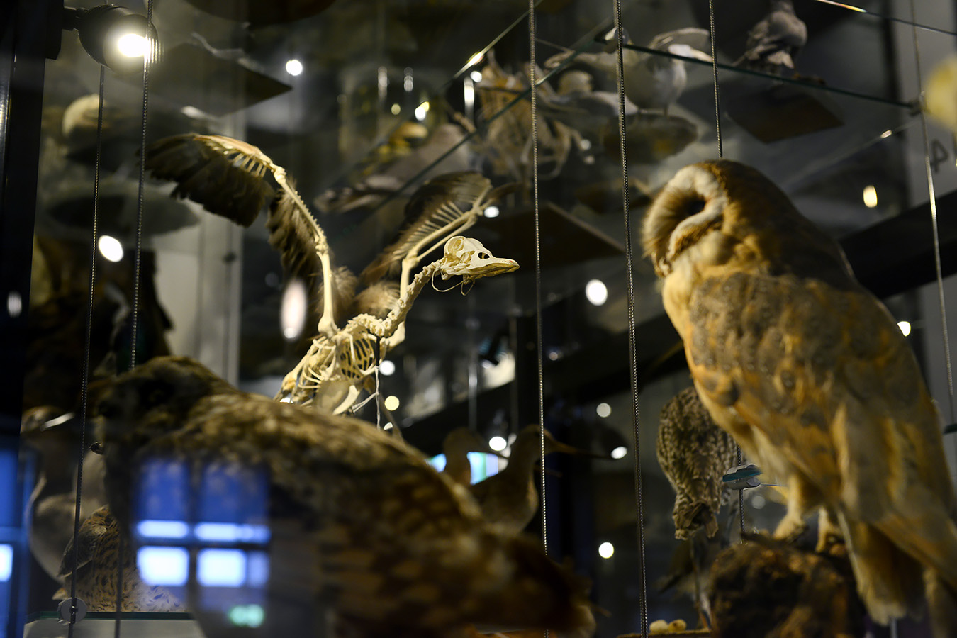 natuurmuseum brabant tilburg 1-2023 6140