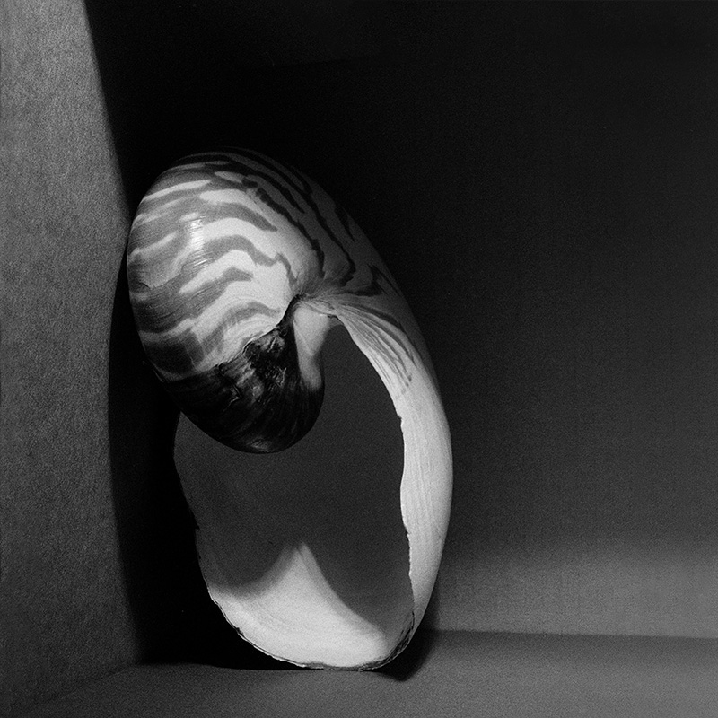 nautilus 10-2018 7029