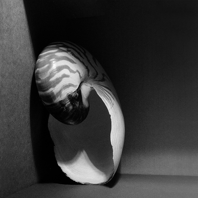 nautilus 4-2019 7029