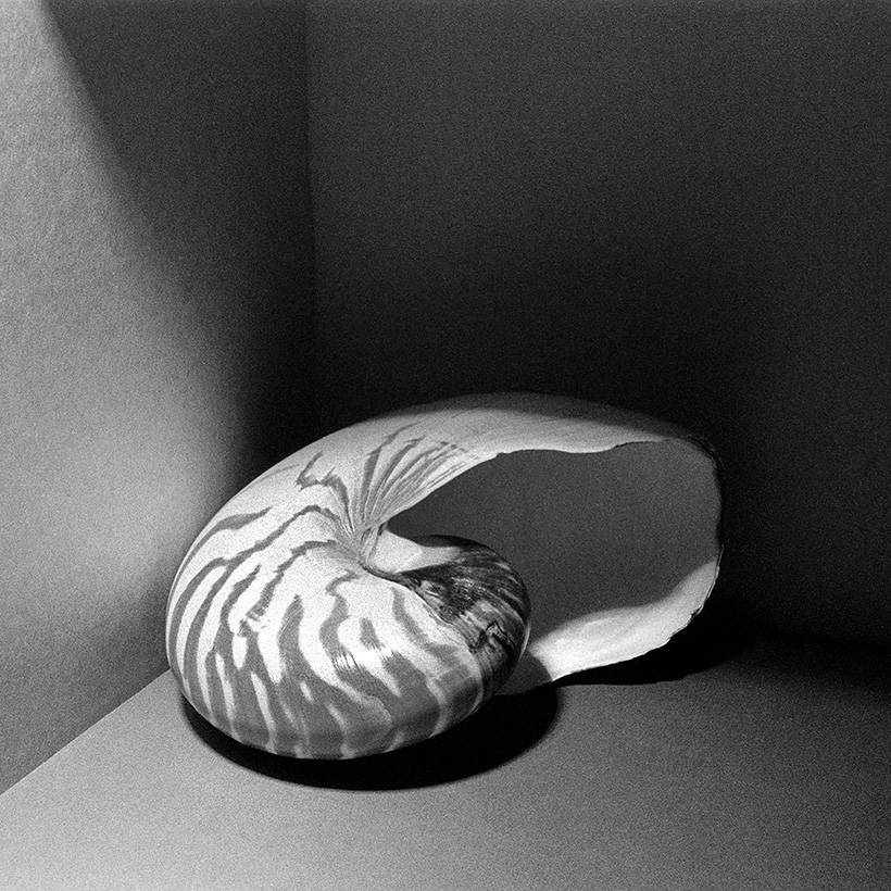 nautilus 4-2019 7037