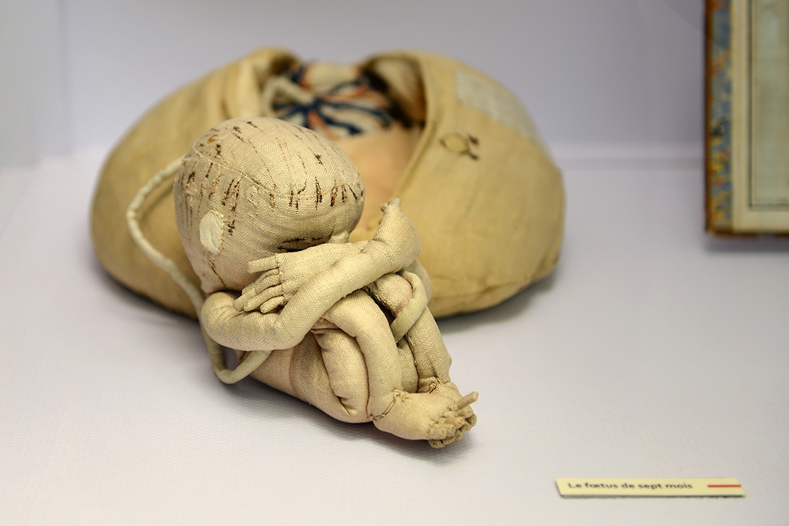 oefenpop de coudrey musee flaubert et de histoire de la medicine rouen 10-2021 0290_1500