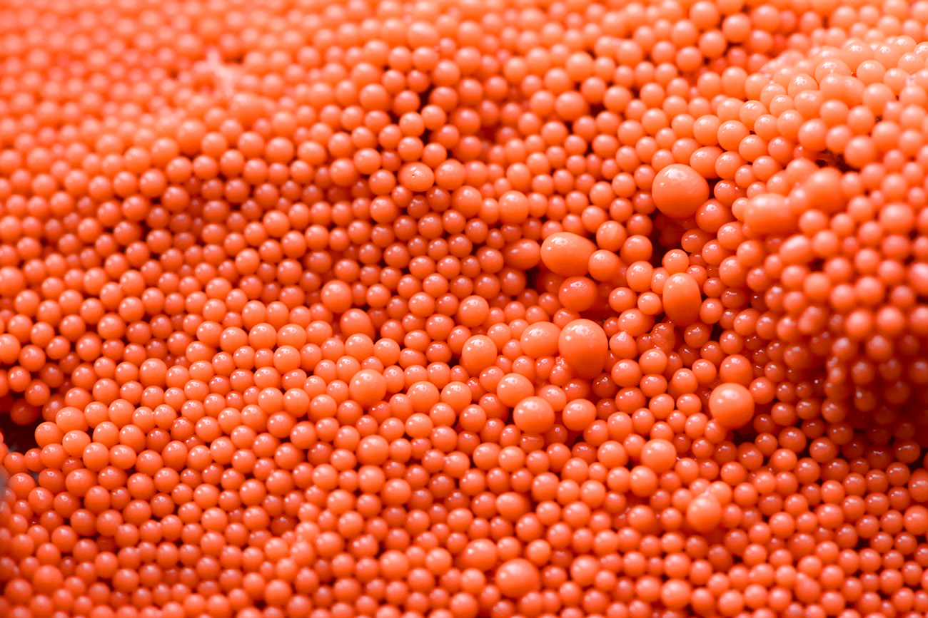 peervormig draadwatje (trichia decipiens) 12-2021 0668