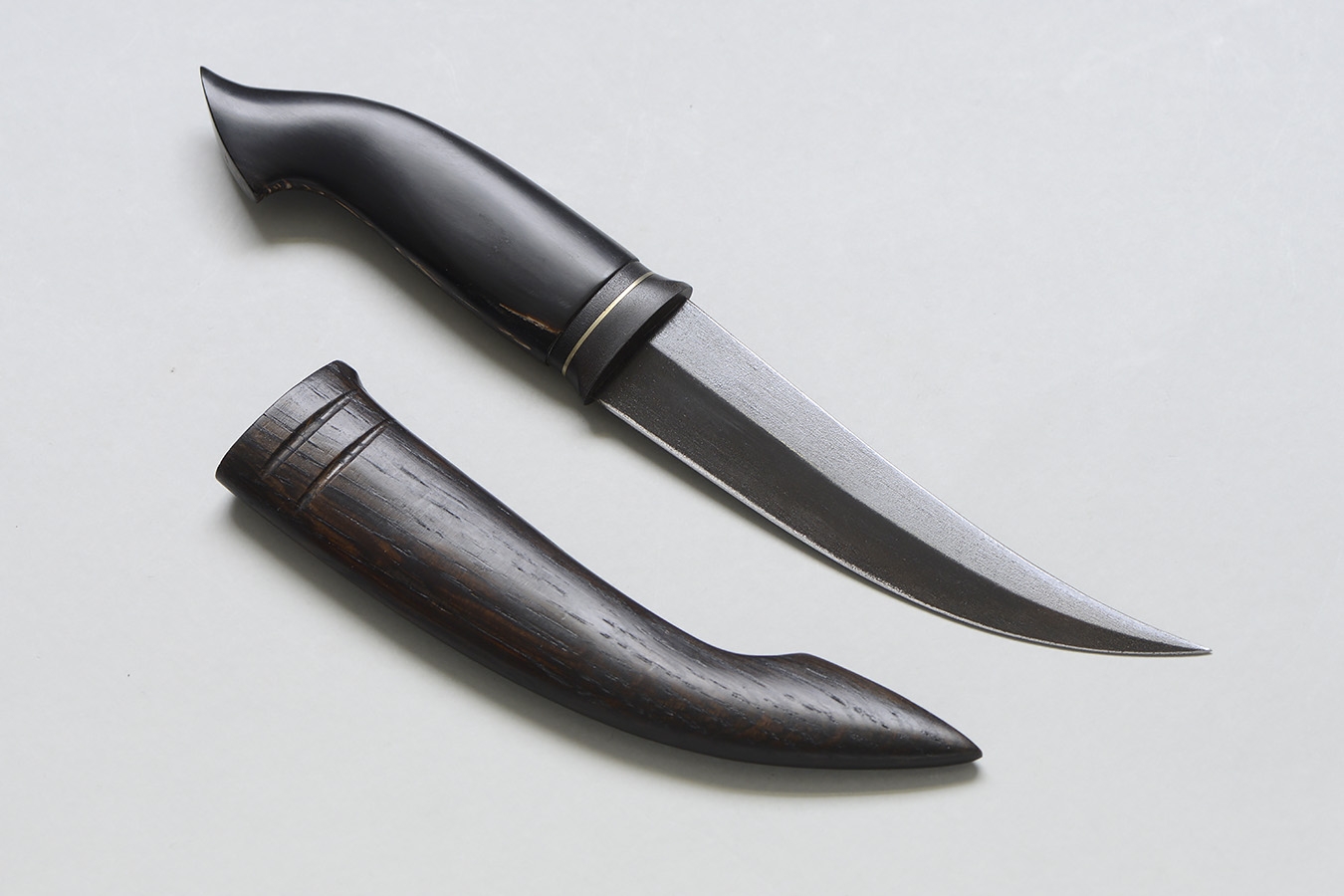 schede v2 zgm 28 11-2024 2496