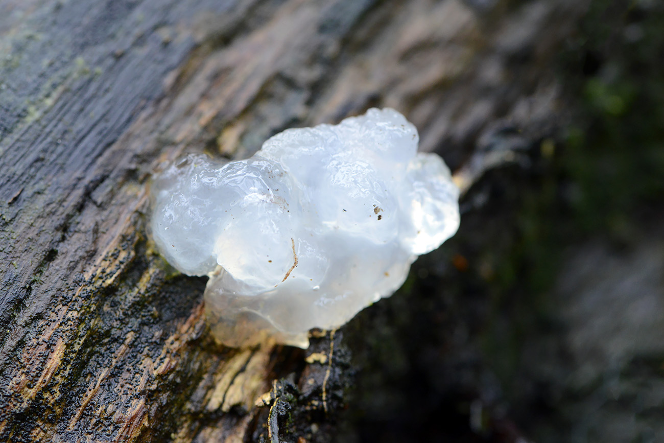 sterrenschot 12-2021 0722