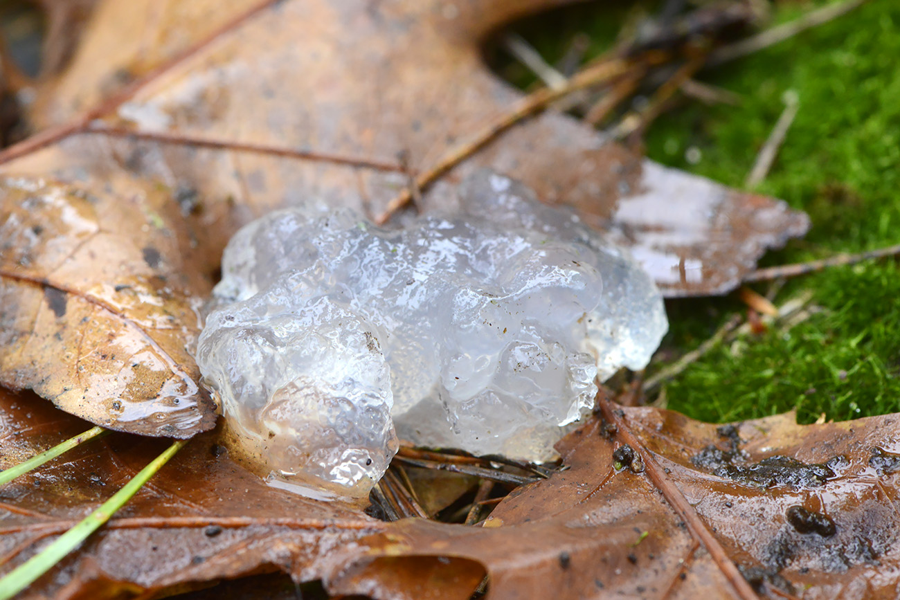 sterrenschot 12-2021 0723