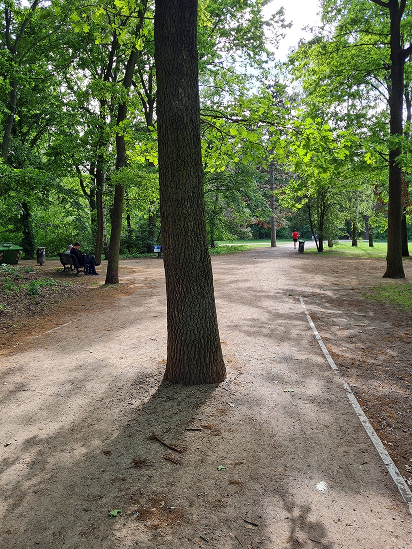 tiergarten berlijn 5-2025 161114