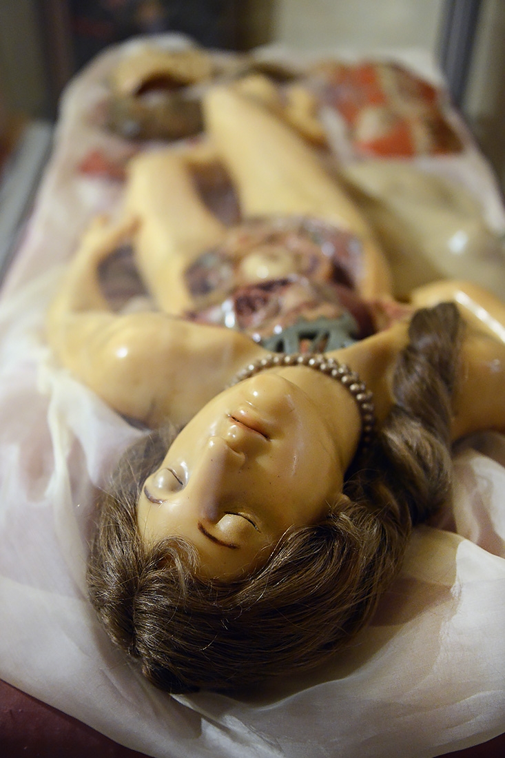 venerina museo di anatomia umana bologna 8-2022 4083