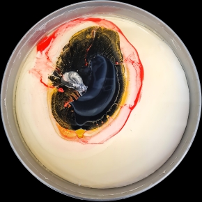 verfblik 12-2024 133511