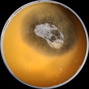 verfblik 6-2024 173640