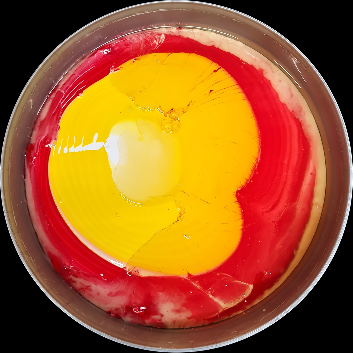 verfblik 7-2024 201050