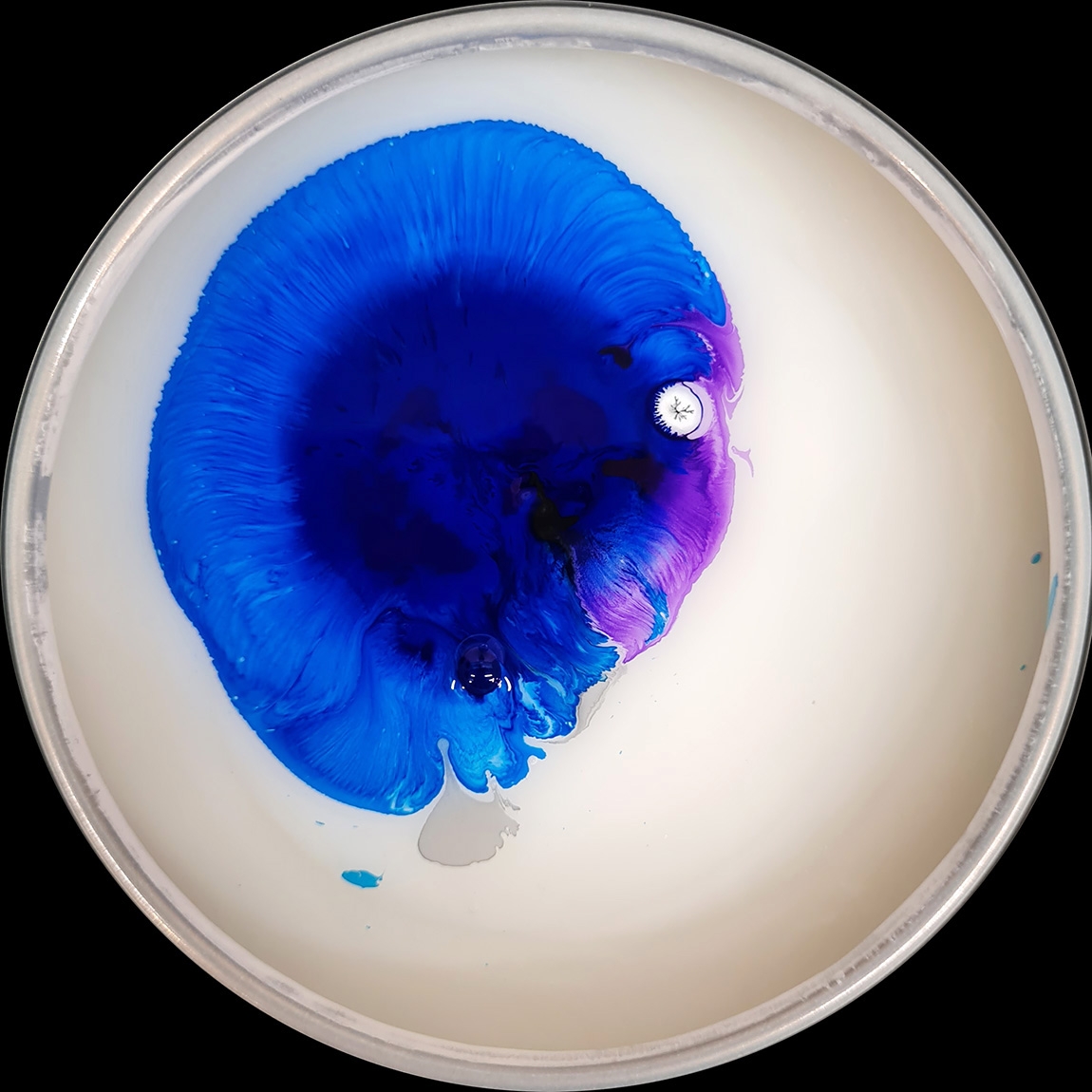 verfblik 9-2025 132744