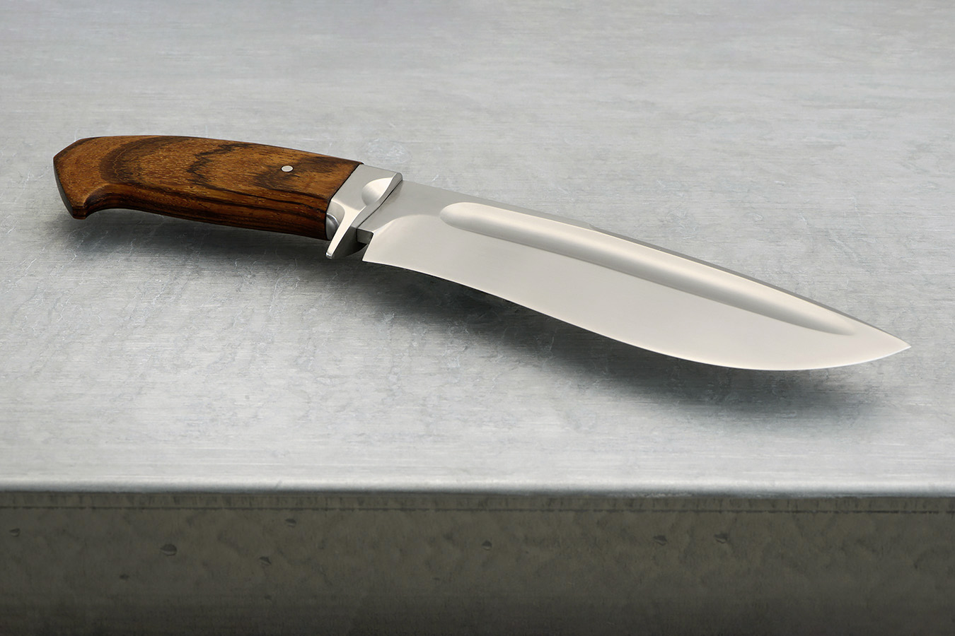 zgm 25 ockham 2-2024 0158