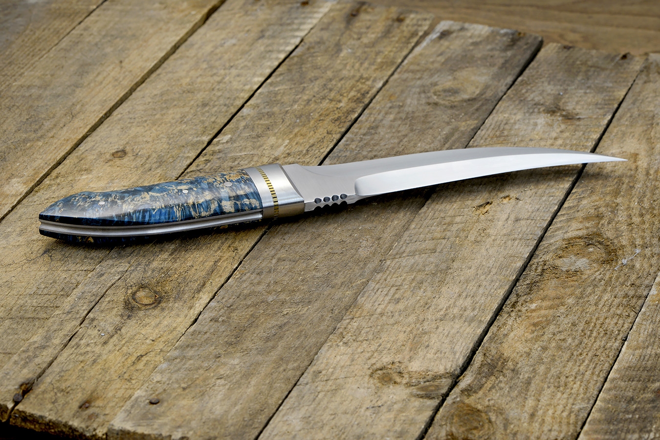 zgm 26 aculeus 5-2024 0390