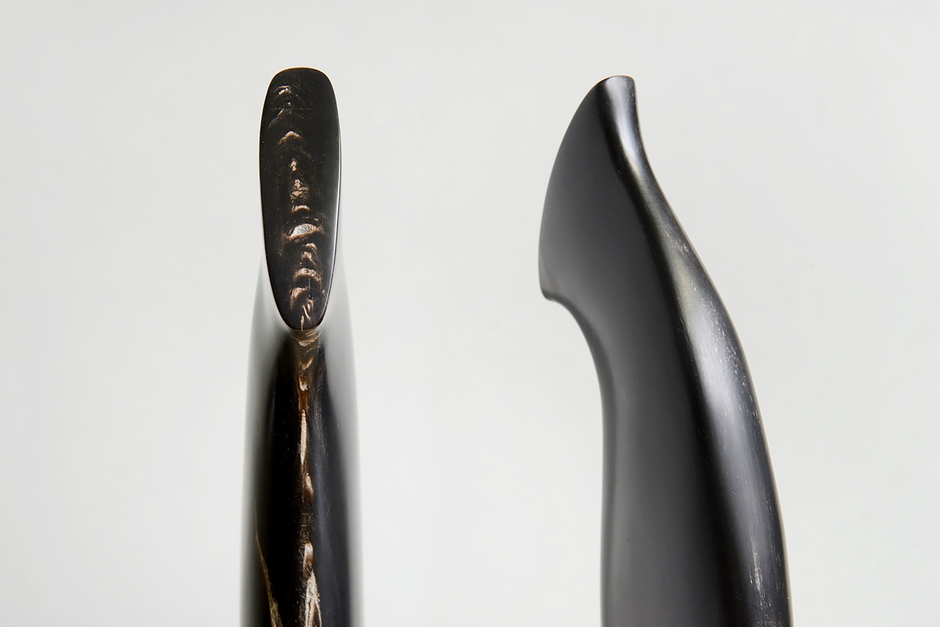 zgm 28 tulipan 5-2025 1951