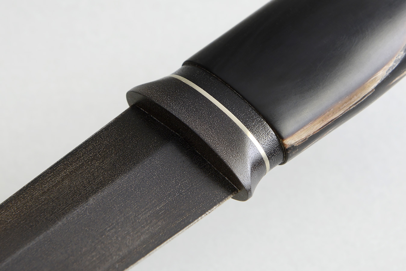 zgm 28 tulipan 5-2025 1954