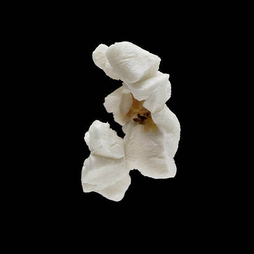 popcorn 12-2010 2853