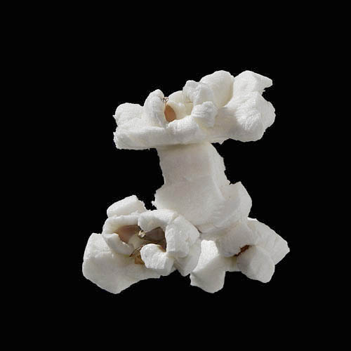 popcorn 12-2010 2866