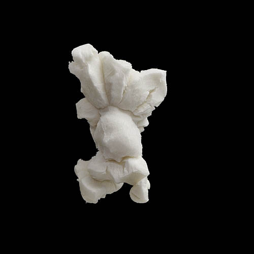 popcorn 12-2010 2893