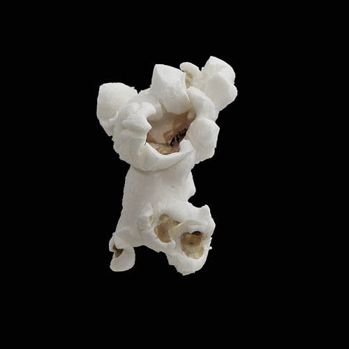 popcorn 12-2010 2894