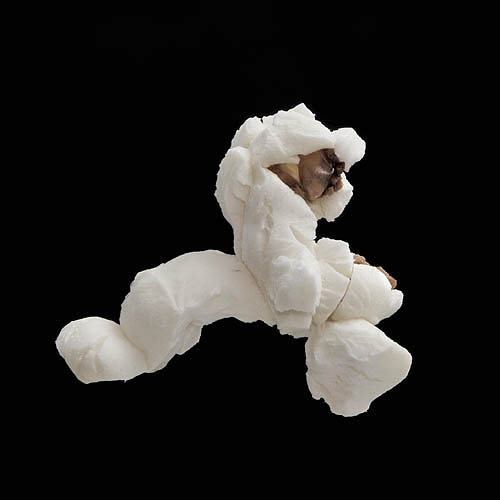 popcorn 12-2010 2901