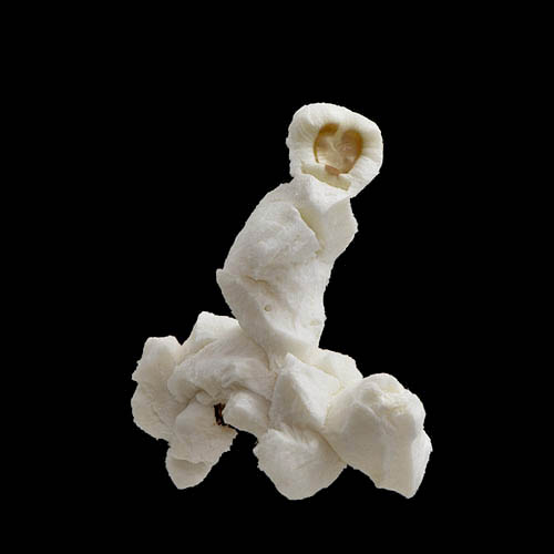 popcorn 12-2010 2903