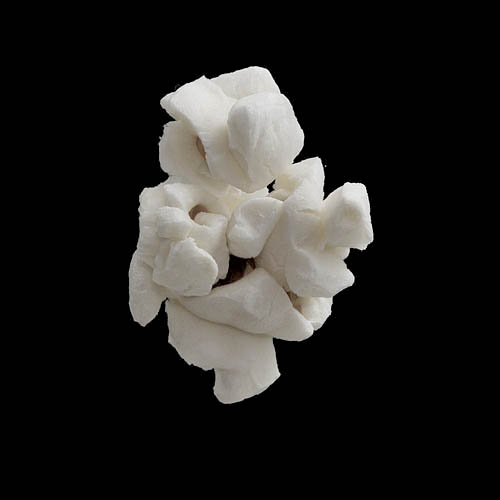 popcorn 12-2010 2913