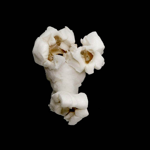 popcorn 12-2010 2927