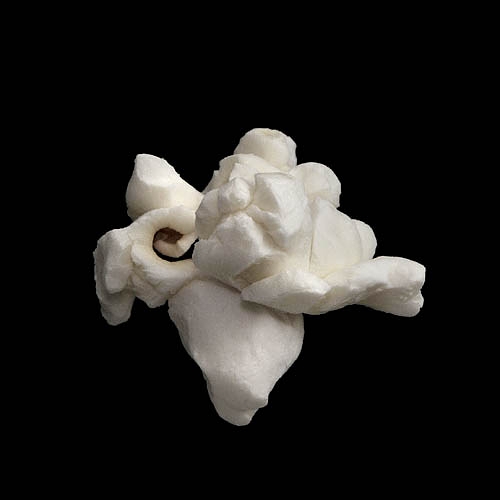 popcorn 12-2010 2931