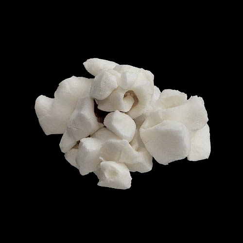 popcorn 12-2010 2932
