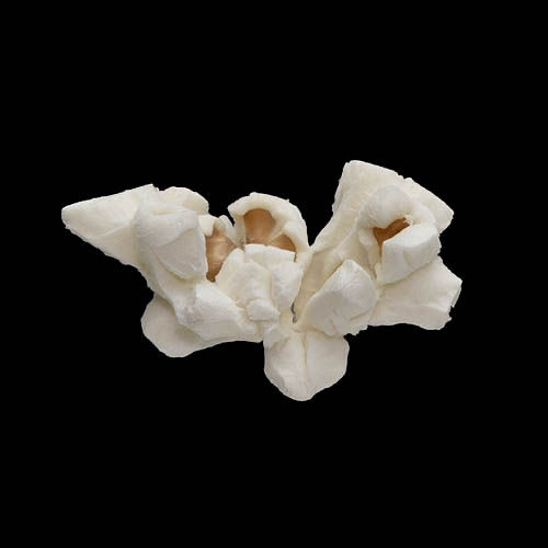 popcorn 12-2010 2935