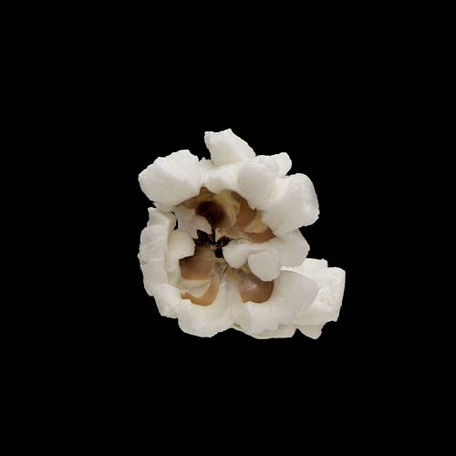 popcorn 12-2010 2945