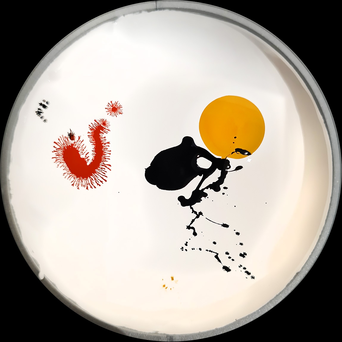 verfblik 3-2024 135650