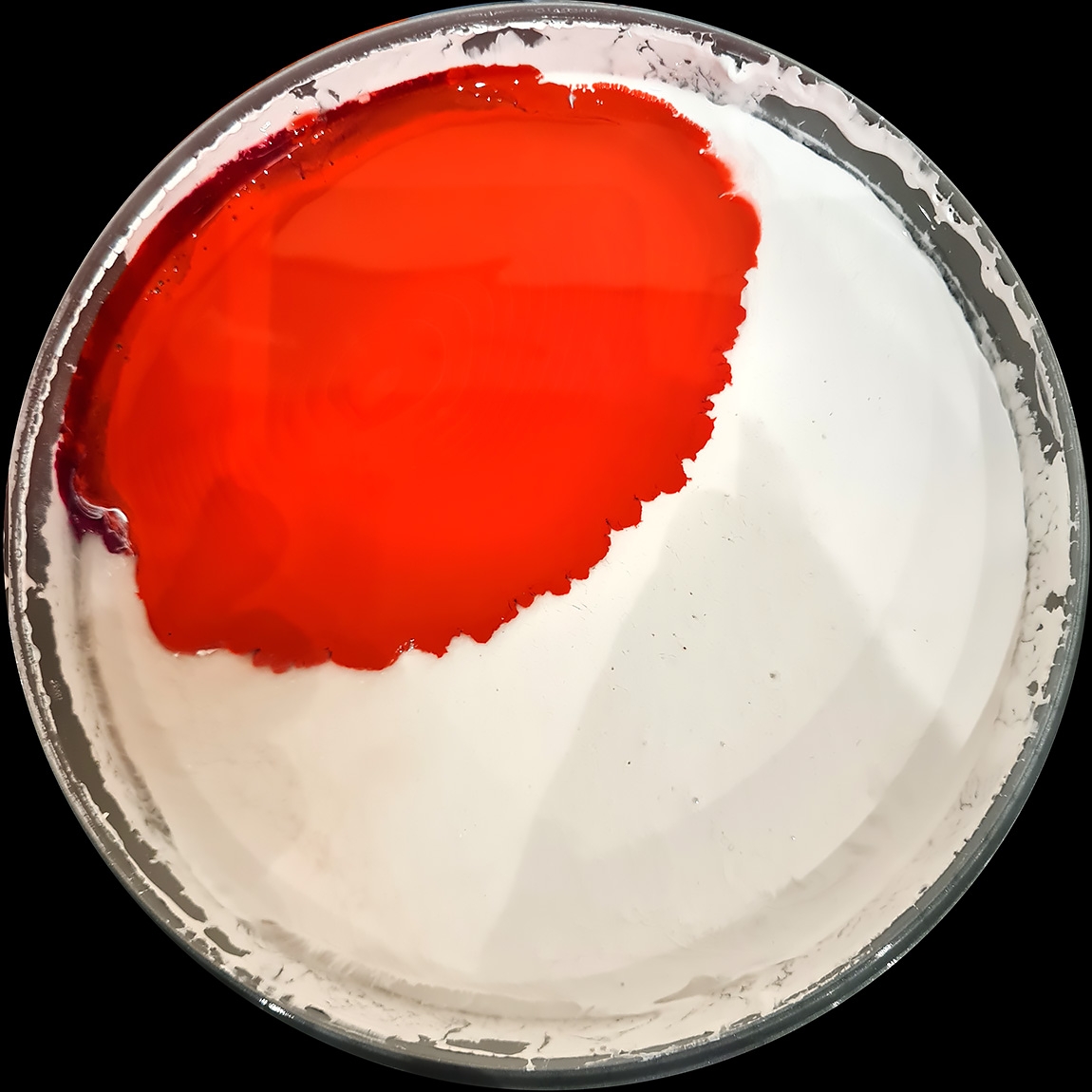 verfblik 3-2024 154543