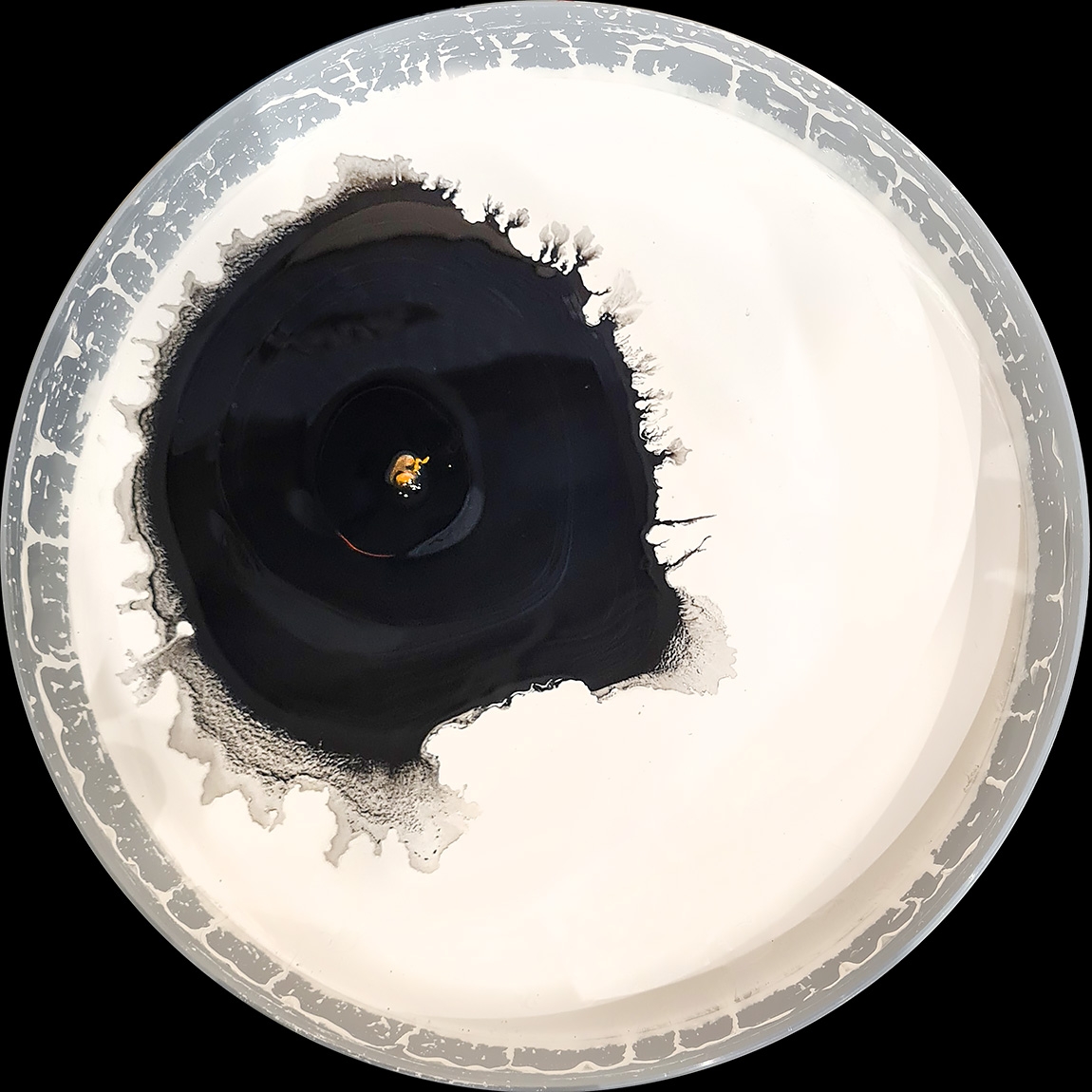 verfblik 4-2024 112247