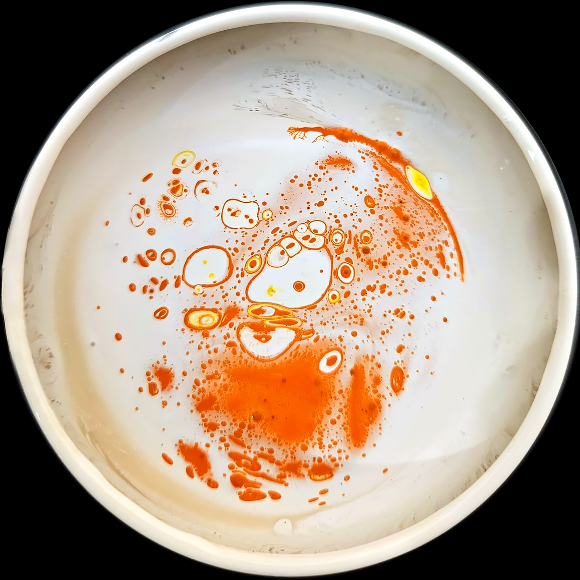 verfblik india 3-2024 WA0004